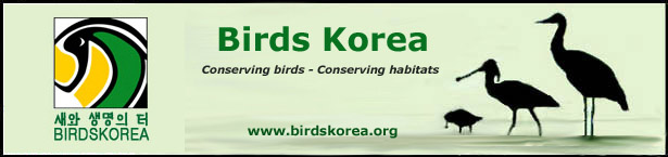 Birds Korea